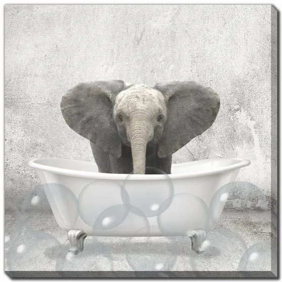 Baby Bath Bundle - 18" x 18"