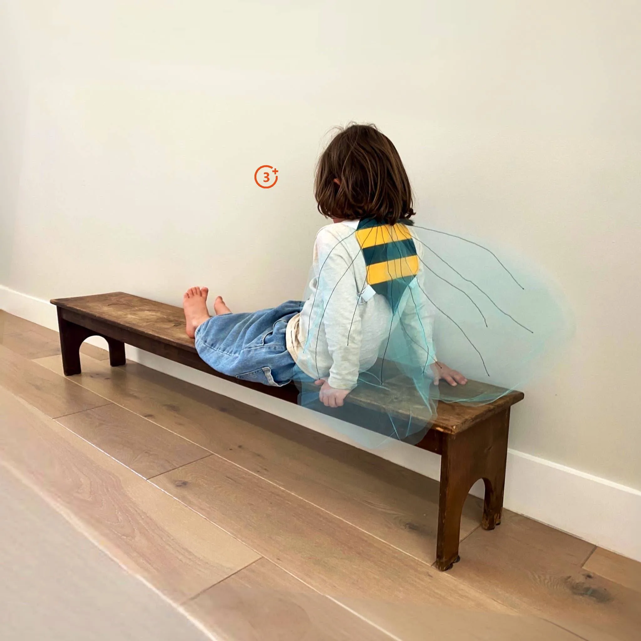 Dress Up - Bumble Bee Wings