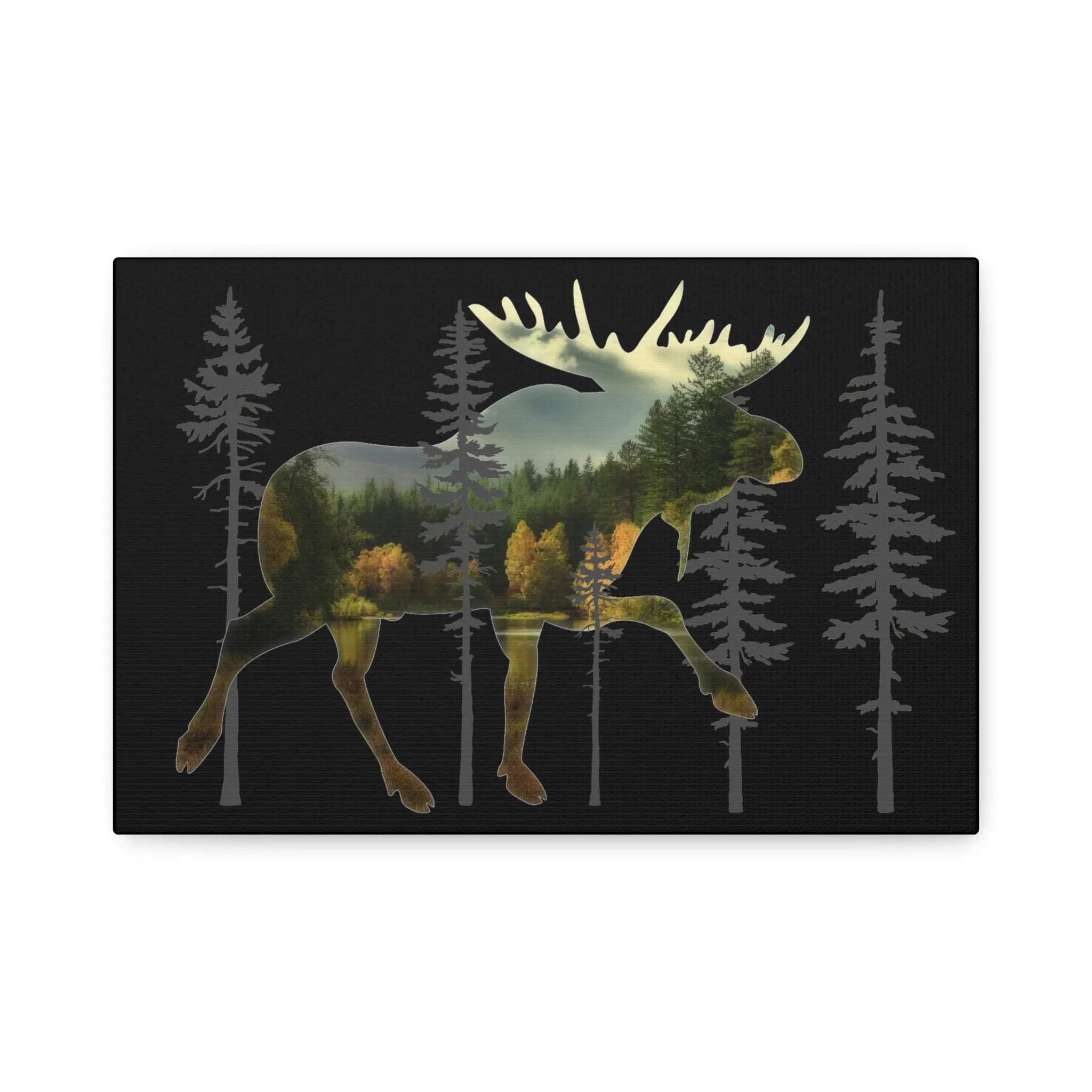 Moose in the Woods Canvas