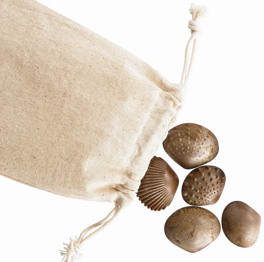Tactile Shells: Eco Friendly FPC Material 36pc